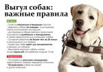 «Об ответственном обращении с животными» «Об ответственном обращении с животными»
